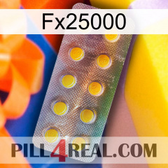 Fx25000 new11